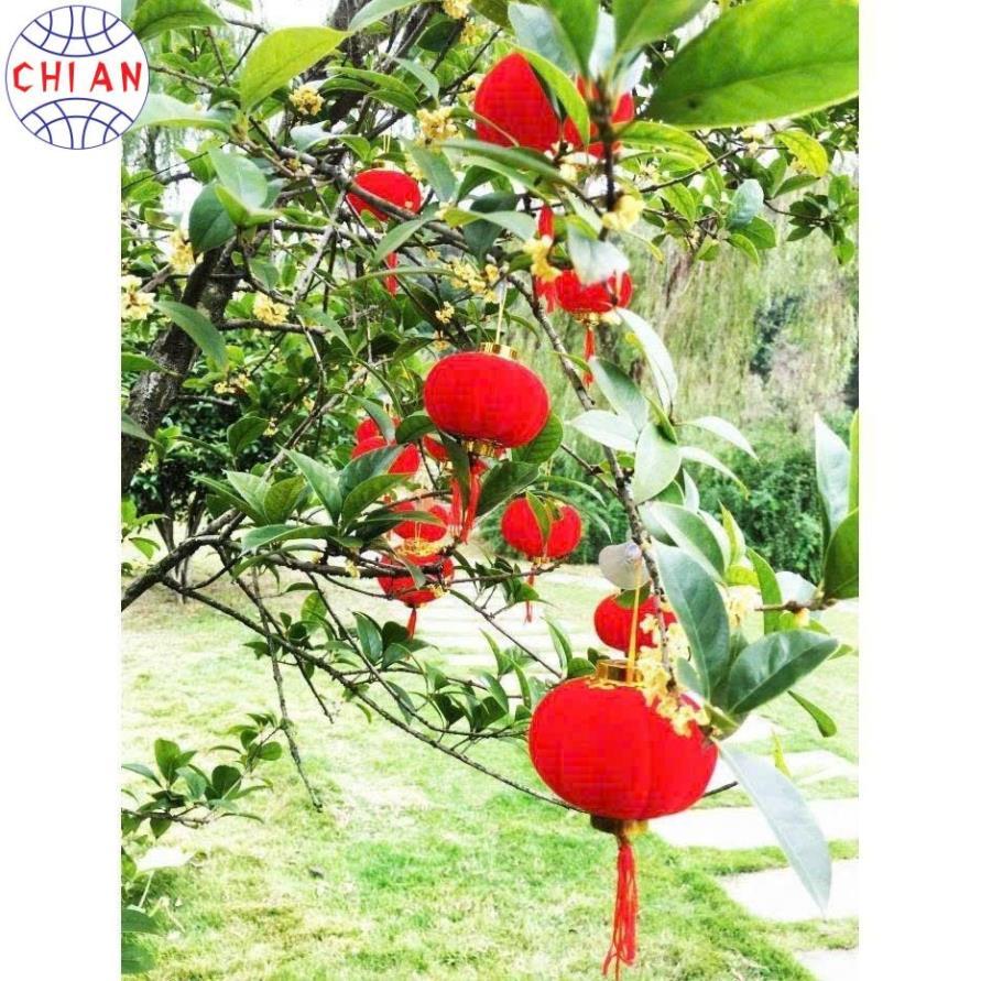 Sỉ Túi 16-30 quả cầu đỏ nhung treo tết, phụ kiện trang trí cây mai, cây đào tết Bính Ngọ 2026