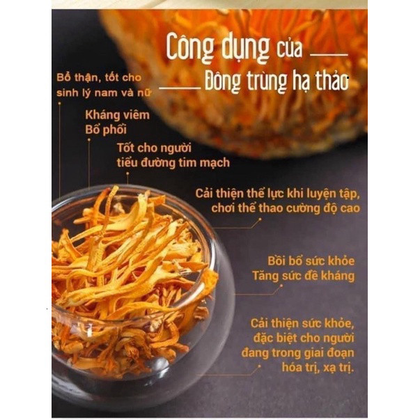Nước Đông Trùng Hạ Thảo Cao Cấp Hàn Quốc 30 Gói x 70ml Hộp Vàng ( hàng mới về )