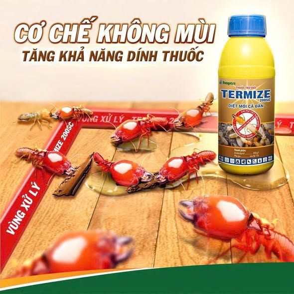 Chai xịt mối mọt TERMIZE 200SC không mùi, lây cả dàn, dùng trong nhà & vườn cây chai 50ml