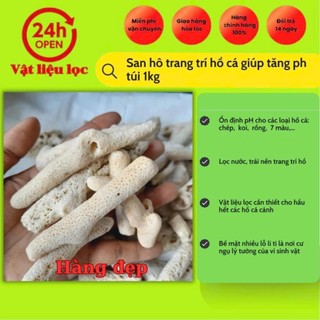 San hô trang trí hồ cá giúp tăng ph túi 1kg