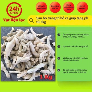 San hô trang trí hồ cá giúp tăng ph túi 1kg