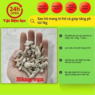 San hô trang trí hồ cá giúp tăng ph túi 1kg