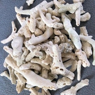 San hô trang trí hồ cá giúp tăng ph túi 1kg