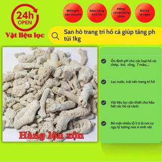 San hô trang trí hồ cá giúp tăng ph túi 1kg