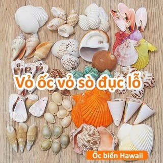 Vỏ Sò Trang Trí Đục Lỗ Sẵn - Vỏ Ốc Có Lỗ Decor Làm Handmade Nhiều Size Mini Đến To (1 Túi)
