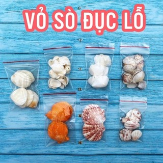 Vỏ Sò Trang Trí Đục Lỗ Sẵn - Vỏ Ốc Có Lỗ Decor Làm Handmade Nhiều Size Mini Đến To (1 Túi)