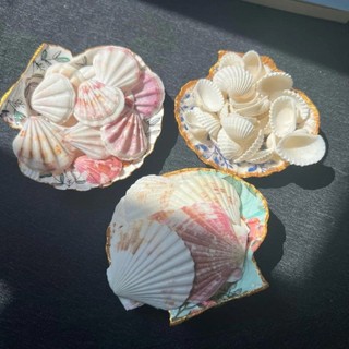 Combo mix sò tự nhiên (Điệp,sò trắng,kim cương)