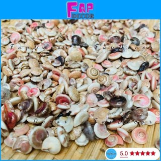 500 gram Ốc ruốc tự nhiên nhiều màu phụ liệu handmade,decor