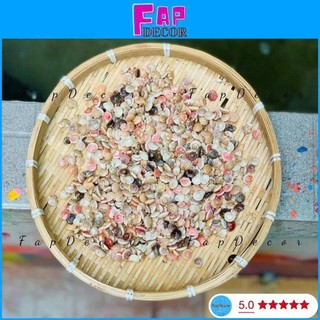 500 gram Ốc ruốc tự nhiên nhiều màu phụ liệu handmade,decor