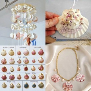 Combo 20 vỏ sò Điệp nhiều màu dùng làm đồ handmade, chuông gió, trang trí bể cá