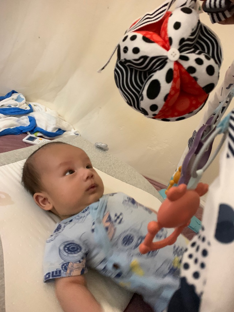 Bóng múi PiPoVietnam Polka Dots chứng nhận