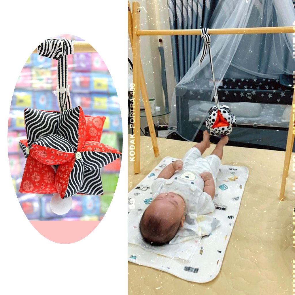 Bóng múi PiPoVietnam Polka Dots