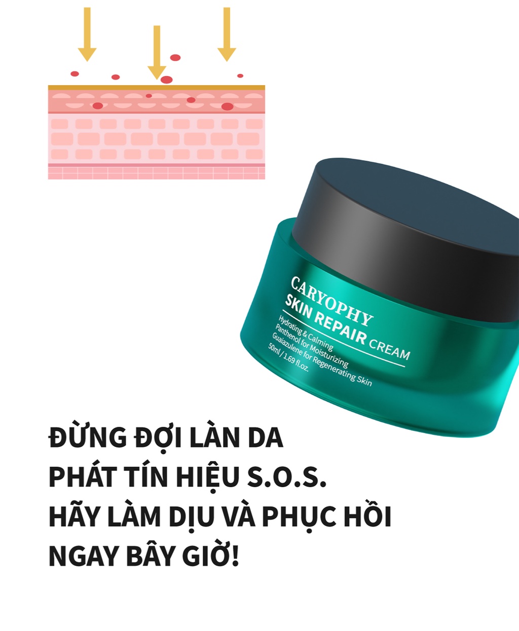 Mô tả Kem dưỡng phục hồi da Caryophy Skin Repair Cream Hàn Quốc dưỡng ẩm phục hồi da mỏng yếu 50ml - 6