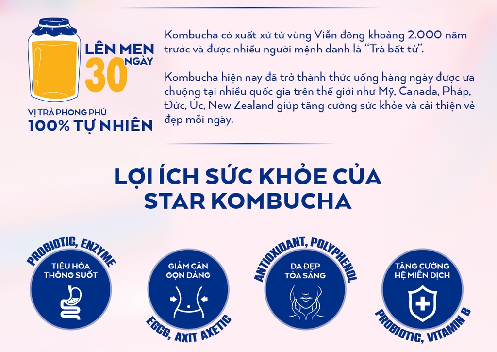 Mô tả Combo 3 thùng 12 lon trà lên men STAR KOMBUCHA mix vị (250ml/lon) - 2