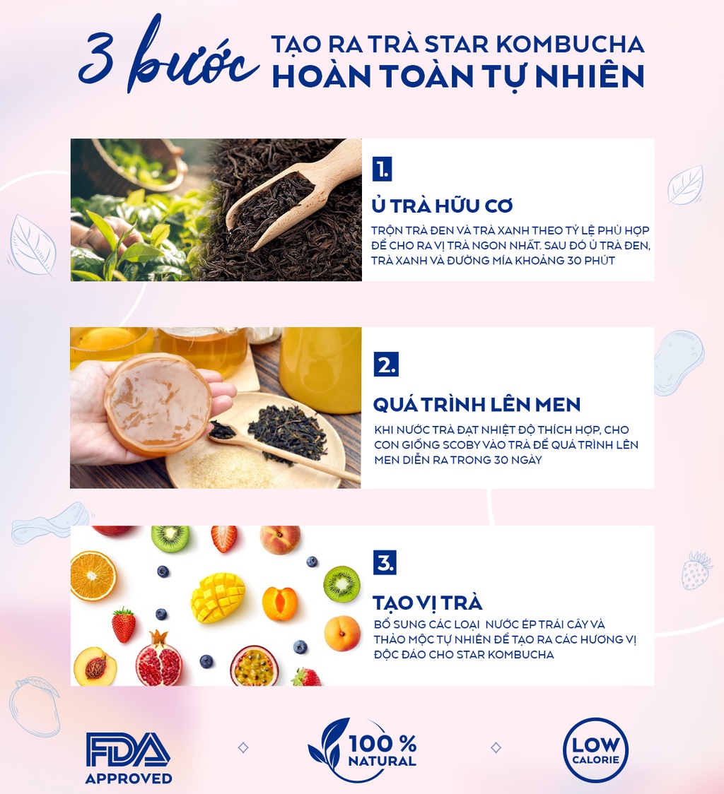 Mô tả Combo 2 thùng 12 lon trà lên men STAR KOMBUCHA hữu cơ mix vị (250ml/lon) - 1