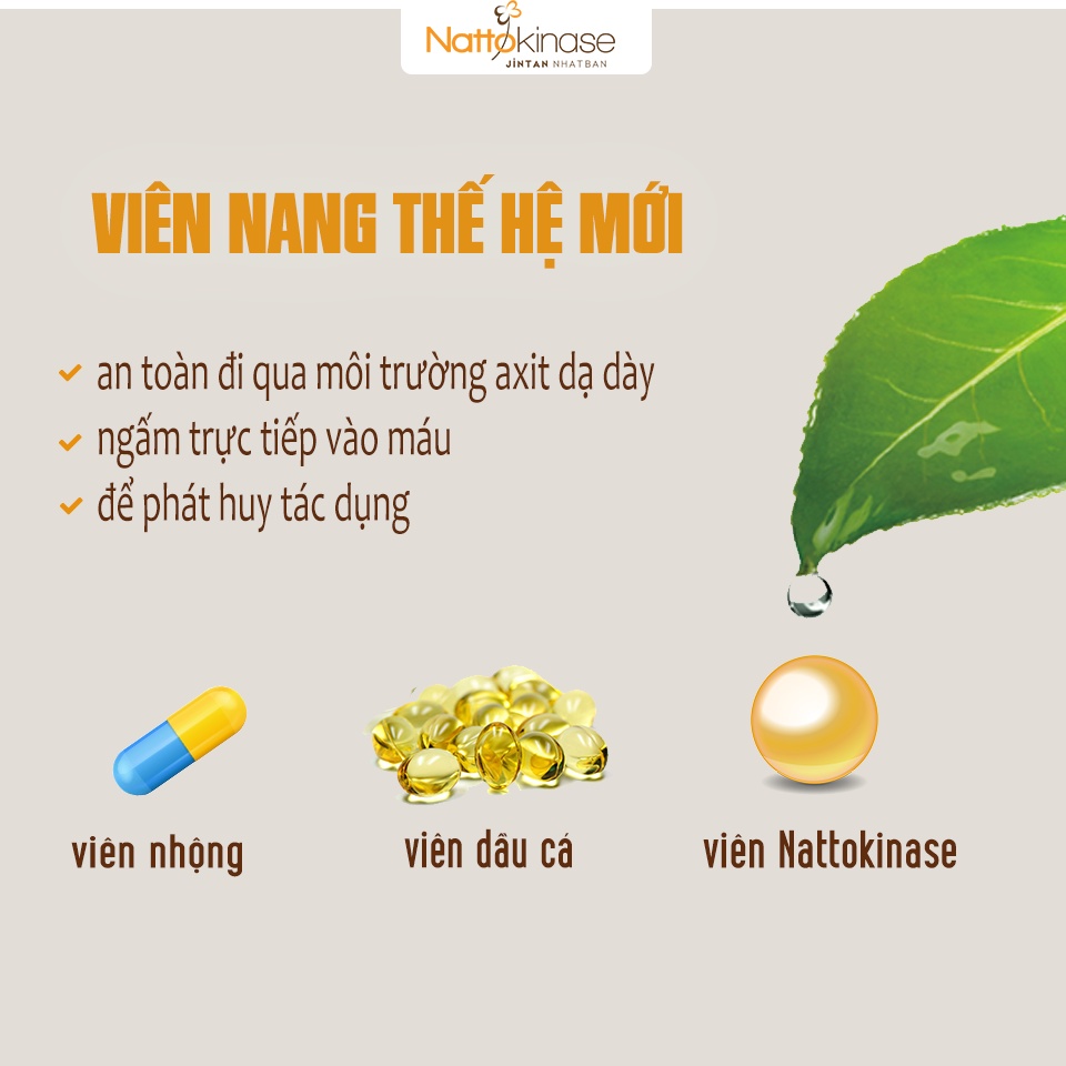 Mô tả Hạ huyết áp NATTOKINASE Jintan Nhật Bản, Lẻ 7, 10, 15 gói (không có hộp) - 2