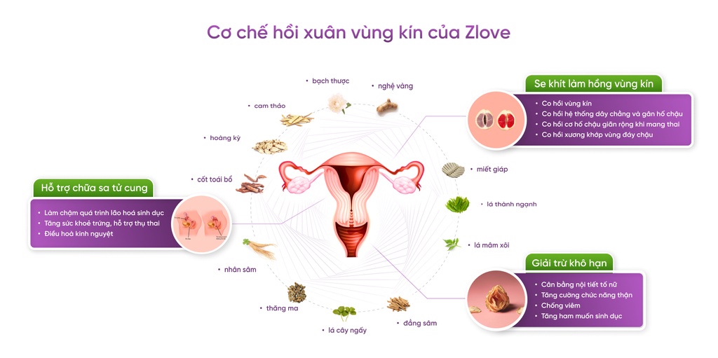 Mô tả ZLV-Combo 4 Zlove Viên uống tăng cường sinh lý, làm hồng  se khít GrowGreenAz- Cân bằng nội tiết tố nữ( Hộp 50 viên) - 2