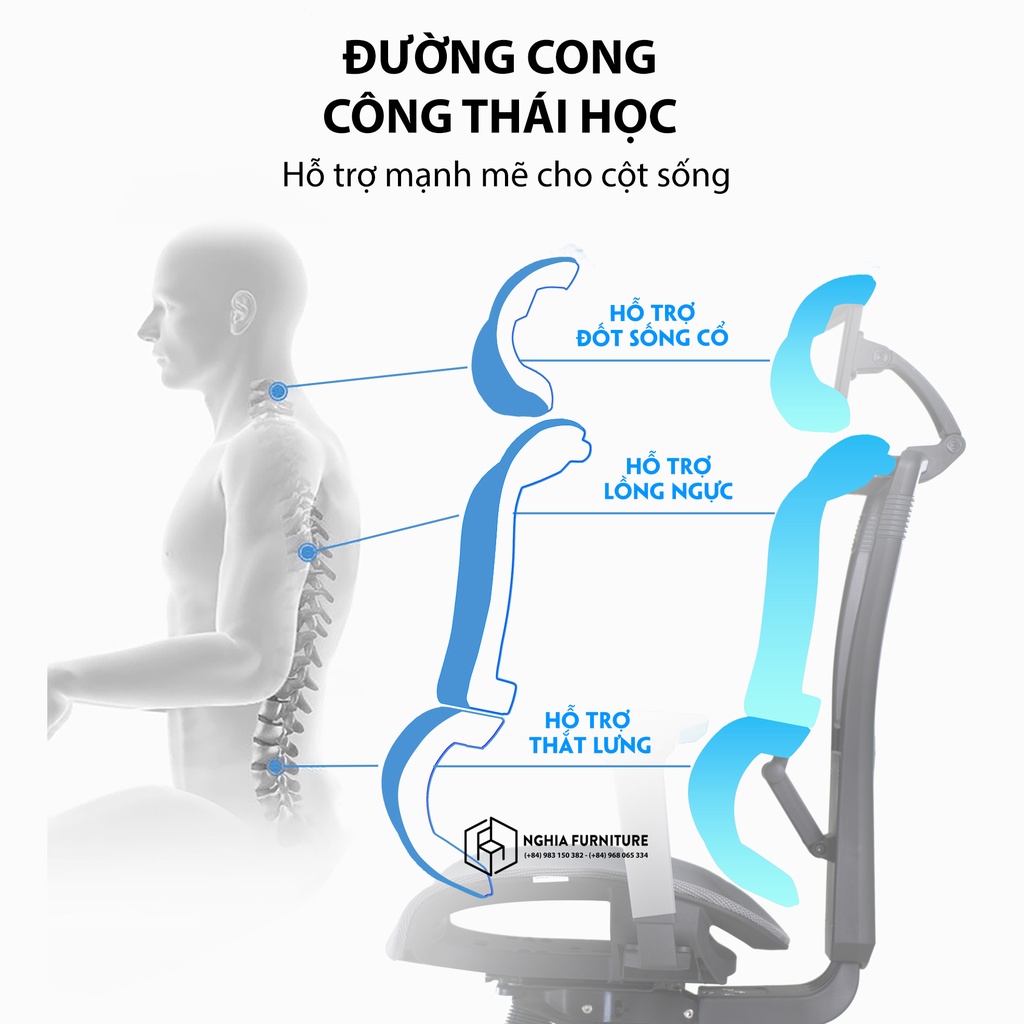 Mô tả Ghế văn phòng công thái học Nghiafurniture Lumbar full tính năng bá đạo, lưới Wintex, Piston class 4 - 3