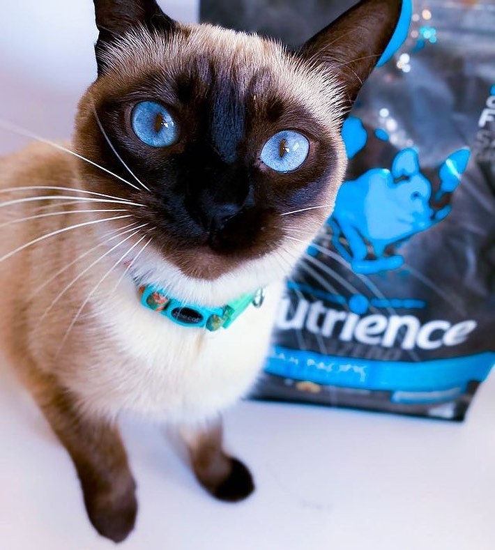Chất lượng Hạt Nutrience Subzero Canada