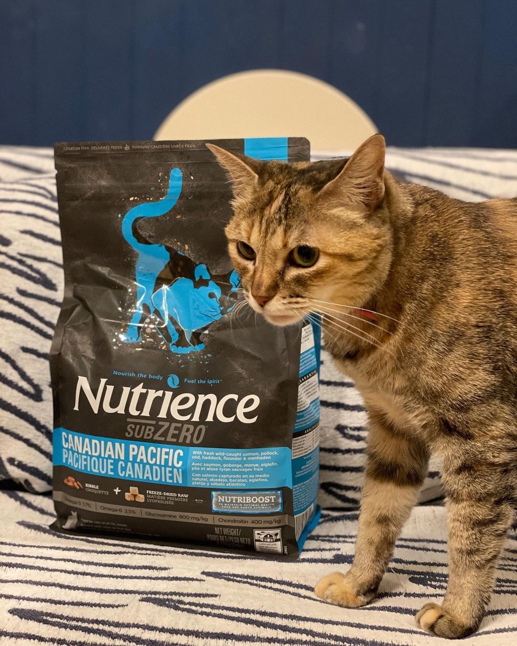 Mô tả Thức ăn cho mèo Nutrience Subzero Grainfree Canadian Pacific  - 6 loại cá biển và rau củ quả 500g - 3