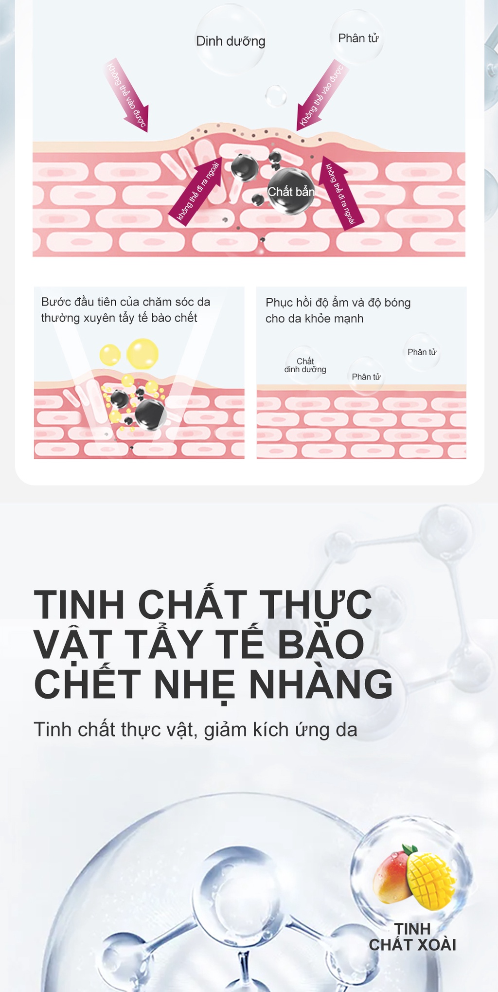 Mô tả Bộ 3 Kem Tẩy Tế Bào Chết Rtopr Dưỡng Ẩm Làm Trắng Da Chất Lượng Cao - 5