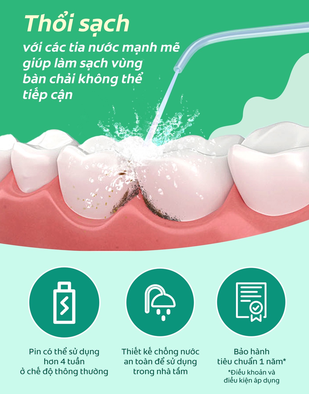 vn 11134202 7qukw