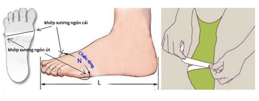 Hướng dẫn đo chân 2