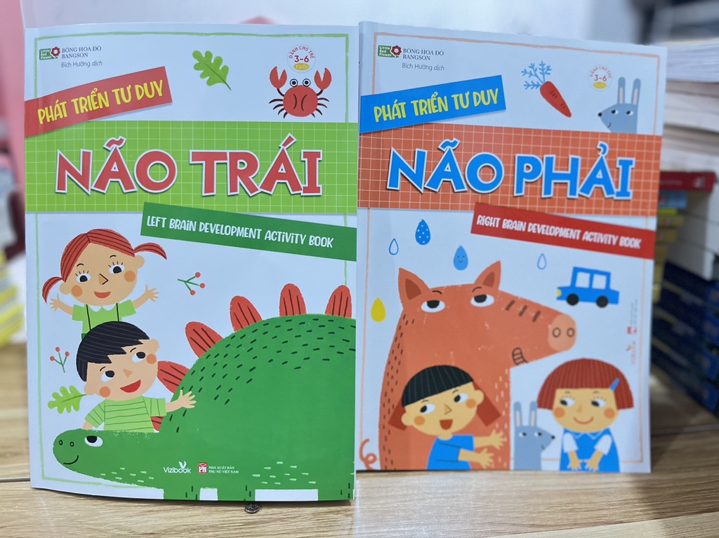 Mô tả Sách - Phát triển tư duy não phải - Phát triển tư duy não trái -Tác giả: Bông hoa đỏ BANGSON - Vizibooks - 1