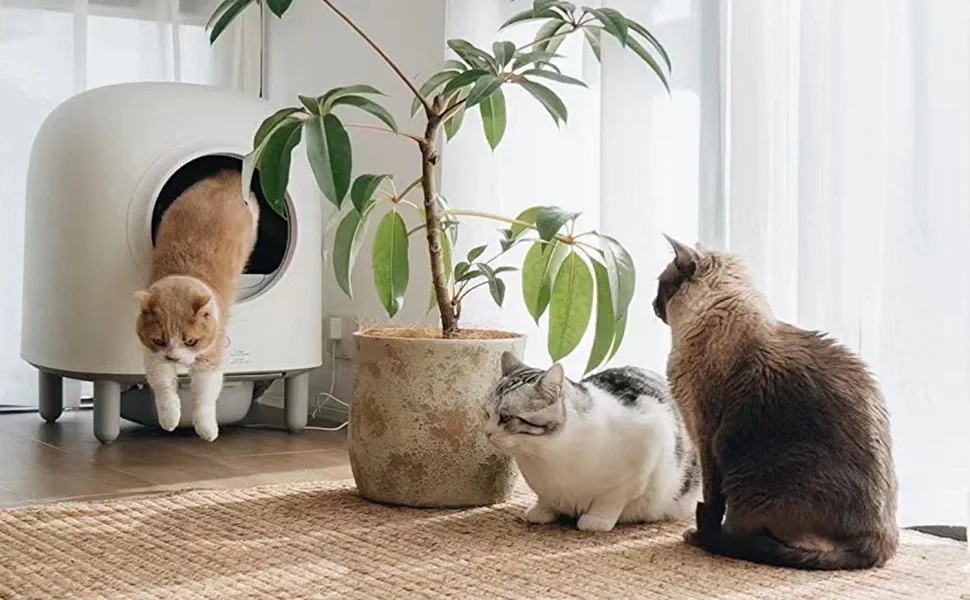 Mô tả COMBO 2 Cục Khử Mùi Máy Dọn Vệ Sinh Cho Mèo Petree x HeLiPet Chính Hãng - 2