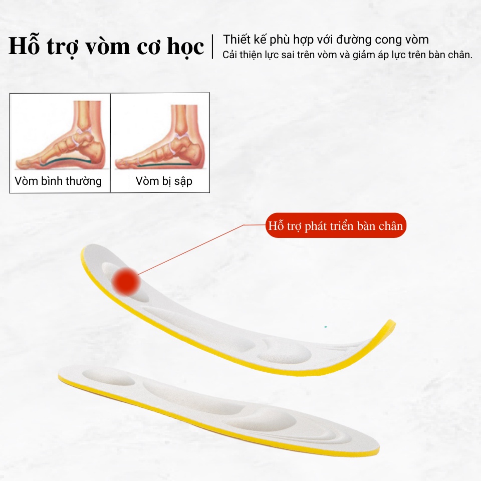 Mô tả Lót Giày Thể Thao Sneaker Bảo Vệ Chân Nam Nữ 4D MINSU M2312 Cao Su EVA Thấm Hút, Khửi Mùi Hôi Chân, Miếng Đệm Cực Êm - 5