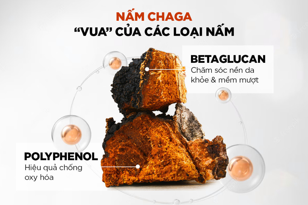 Mô tả [KOL LIVE] Booster Nấm Chaga Phục Hồi, Dịu Da Và Cấp Ẩm Chuyên Sâu - G.G.G Uniq Booster Chagga 100 Ampoule 50ml - 5