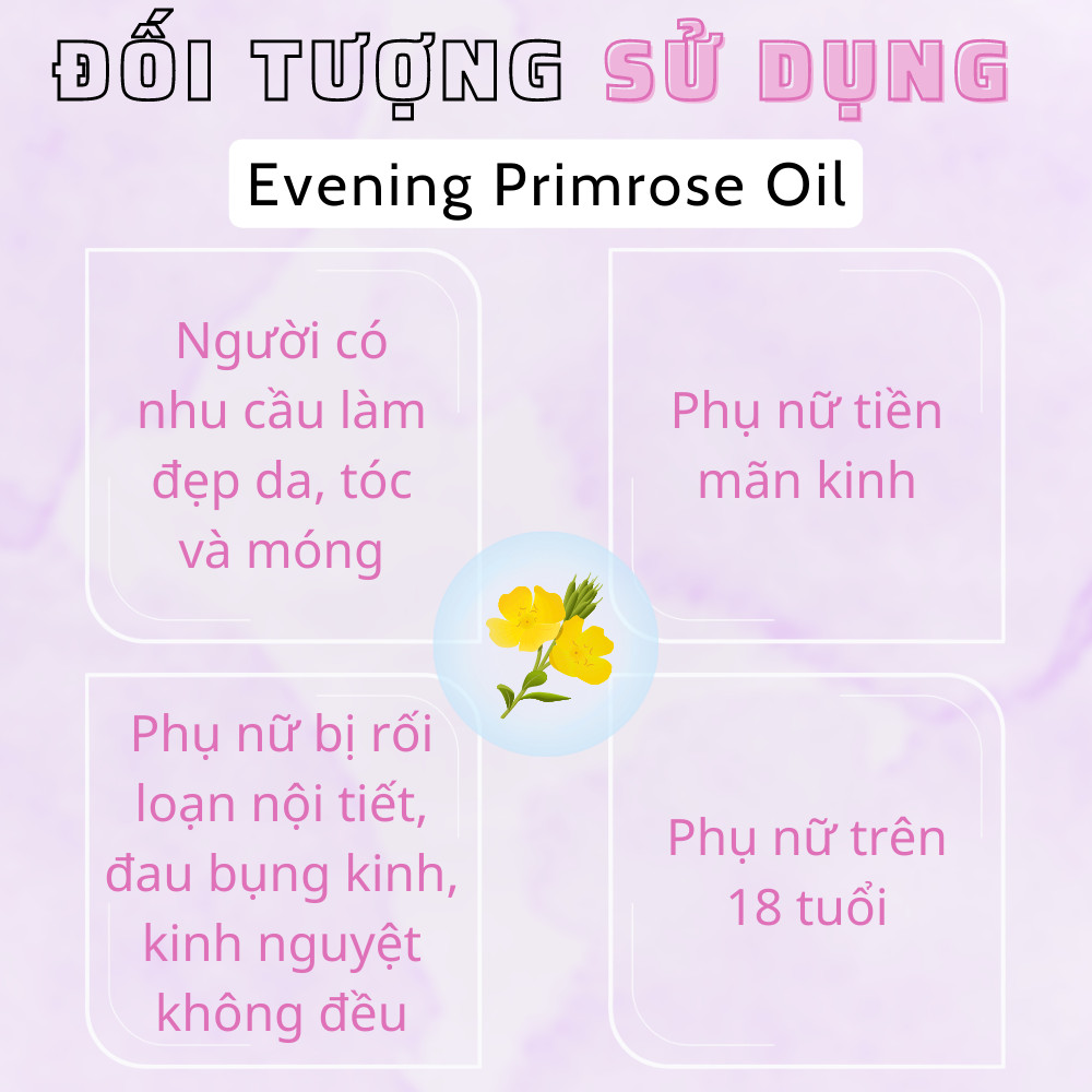 Mô tả Viên uống tinh dầu hoa anh thảo VTM Evening Primrose Oil, hỗ trợ cân bằng nội tiết tố, làm đẹp da, tóc, móng - 2