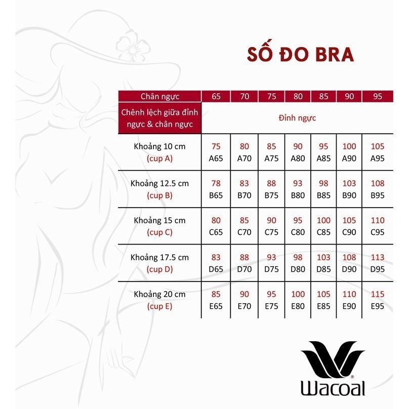 Bảng size áo lót Wacoal