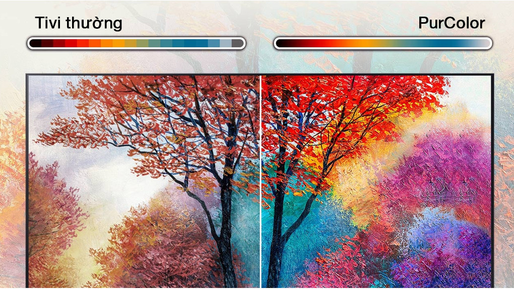 Công nghệ PurColor