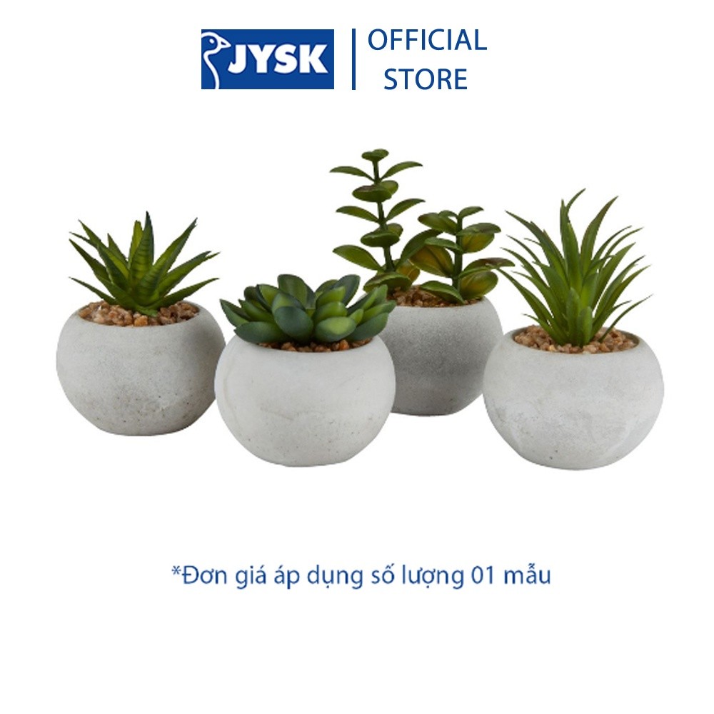 Mô tả Cây hoa trang trí |JYSK Bror | xi măng/nhựa | xanh/xám | DK7xC9cm - 2