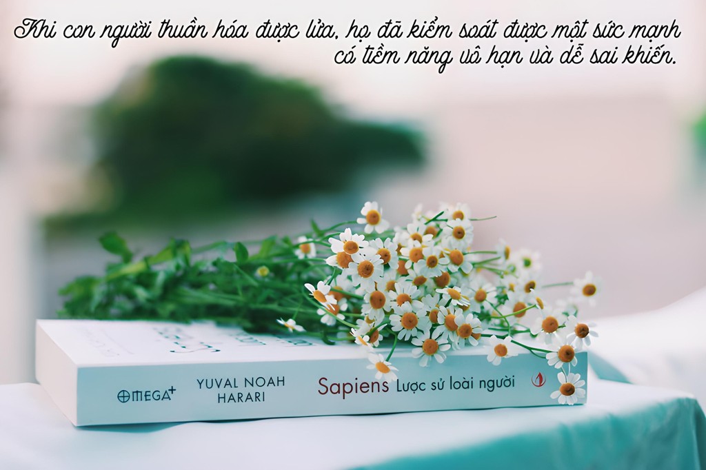 Mô tả Sách - Sapiens Lược Sử Loài Người - Câu chuyện lịch sử lớn về nền văn minh nhân loại (Tái Bản Mới Nhất) - Omega Plus - 1