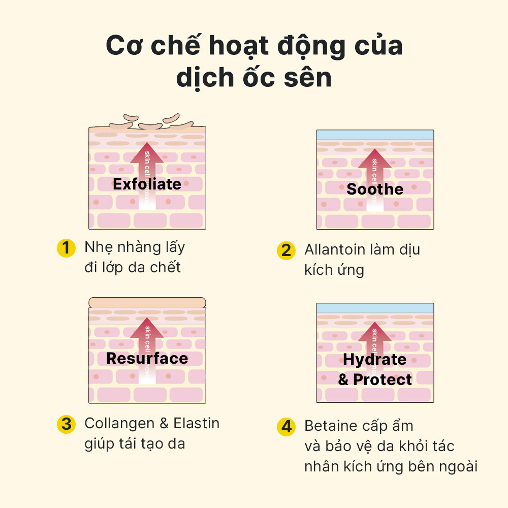 Mô tả Set serum ốc sên 96 mucin 100ml + kem dưỡng ẩm COSRX tái tạo phục hồi da chiết xuất 92% dịch ốc sên 100g - 4