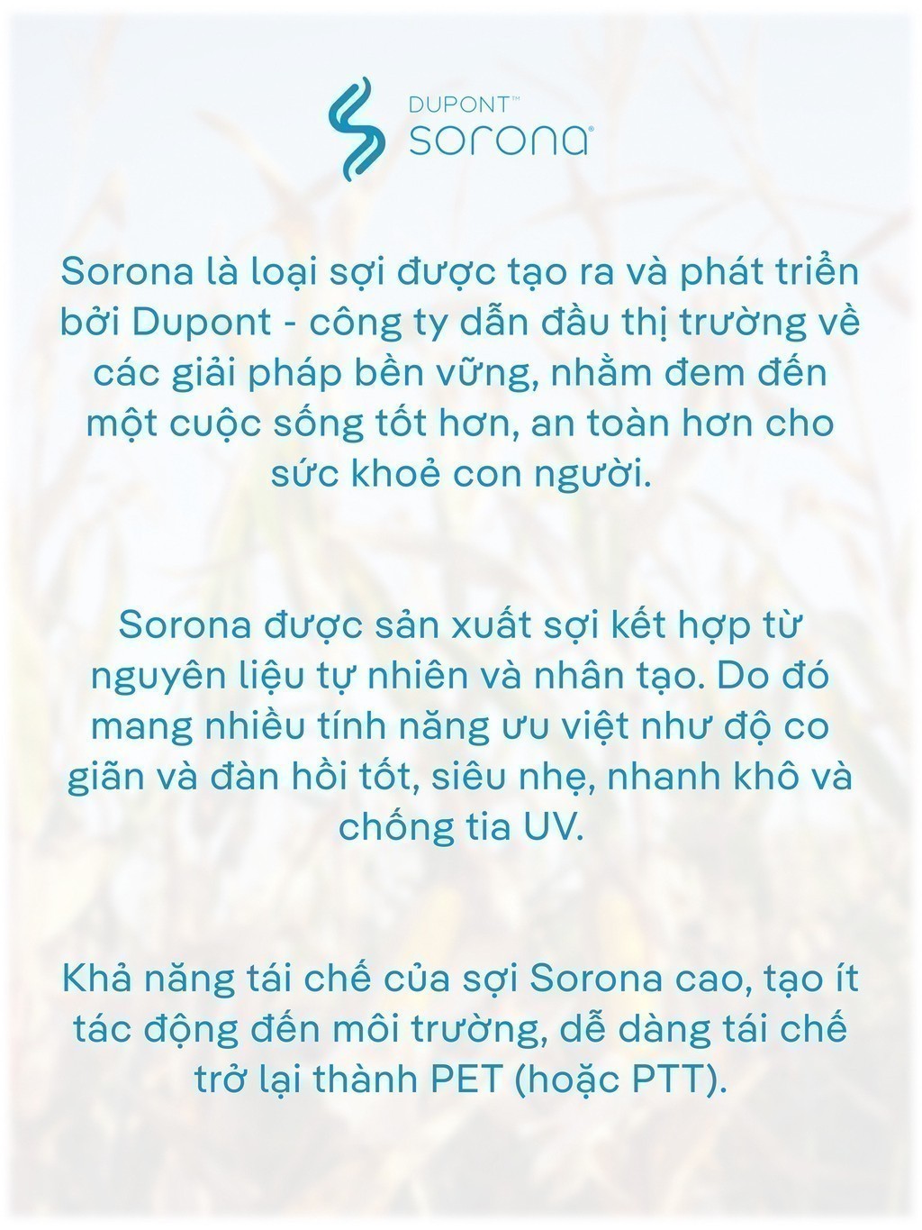 Mô tả Quần dài nam Daily Pants  sợi Sorona, nhuộm Cleandye Coolmate - 4