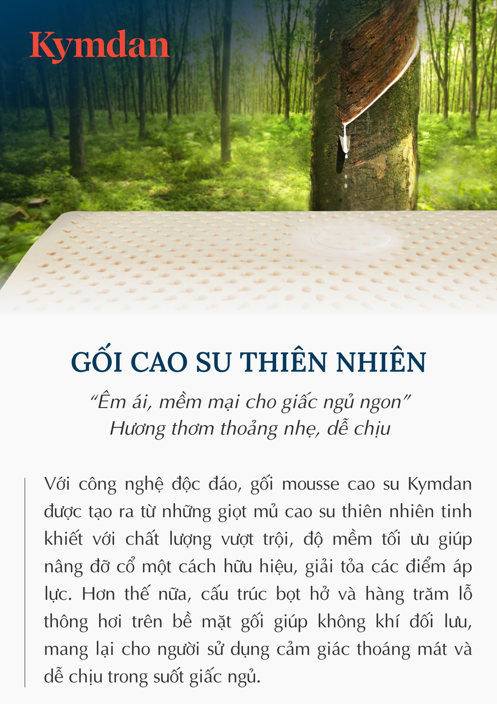 Mô tả Gối cao su thiên nhiên Kymdan Pillow PressureFree Max - 1