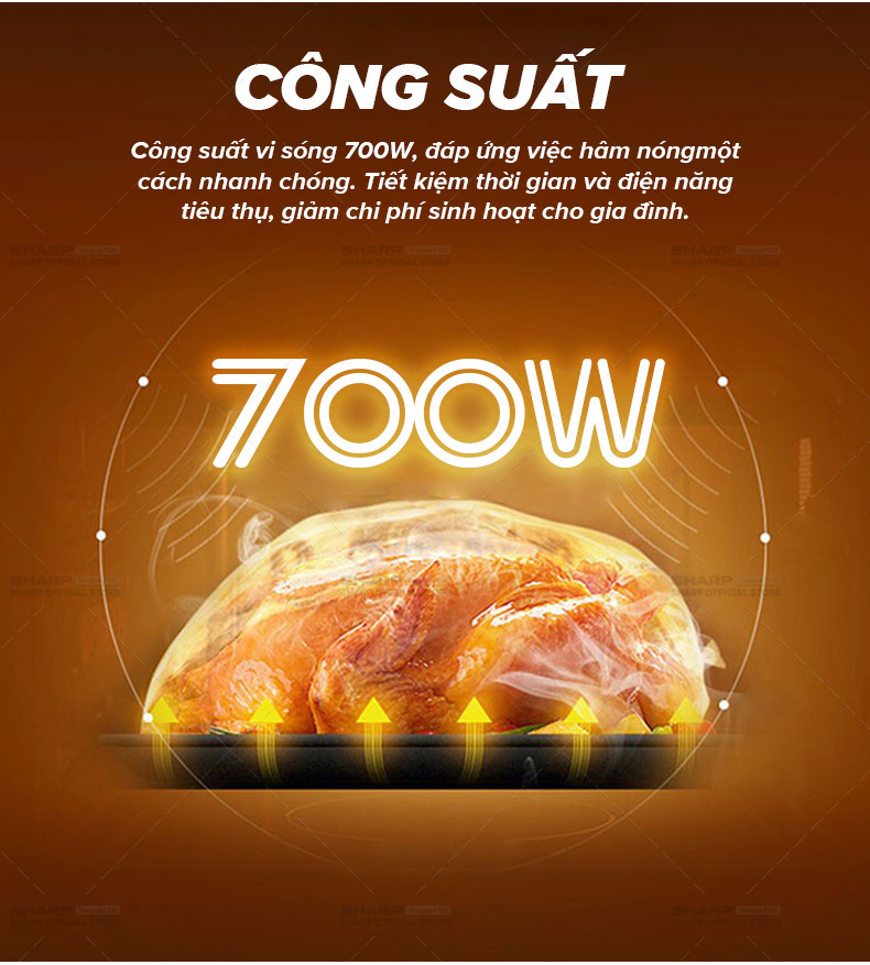 Mô tả Lò Vi Sóng Cơ R-207VN-SL/R-209VN-SK  [700W, 6 Mức Công Suất, Hẹn giờ 30p] - Hàng Chính Hãng Bảo Hành 12 tháng - 2