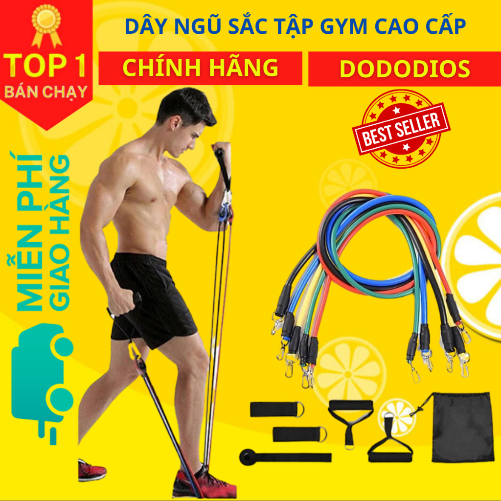 Mô tả Bộ Dây Cao Su Đàn Hồi Kháng Lực Ngũ Sắc 11 Món Tập Gym Tiện Ích - Hãng Dododios - 1