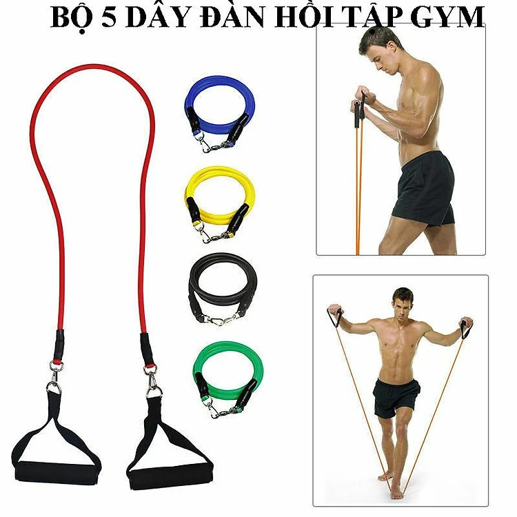 Mô tả Dây Ngũ Sắc Kháng Lực Tập Gym, Thể Hình Đa Năng Tại Nhà Chất Liệu Cao Su Siêu Bền - Hãng Dododios - 8