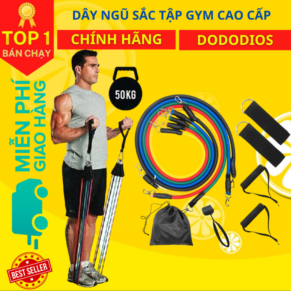 Mô tả Dây Cao Su Ngũ Sắc Tập Gym Tại Nhà Đa Năng Siêu Bền - Hãng Dododios - 2