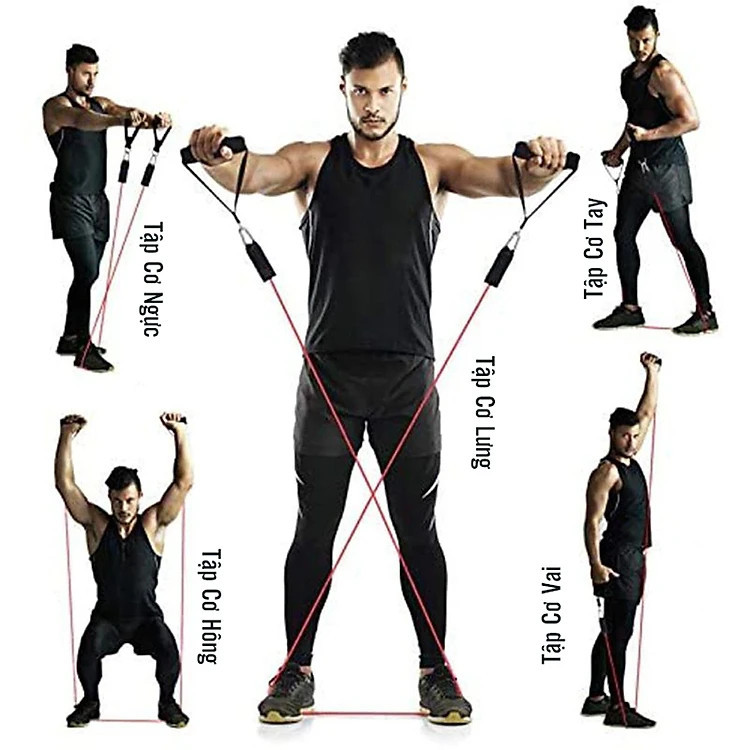 Mô tả Dây Cao Su Ngũ Sắc Tập Gym Tại Nhà Đa Năng Siêu Bền - Hãng Dododios - 9