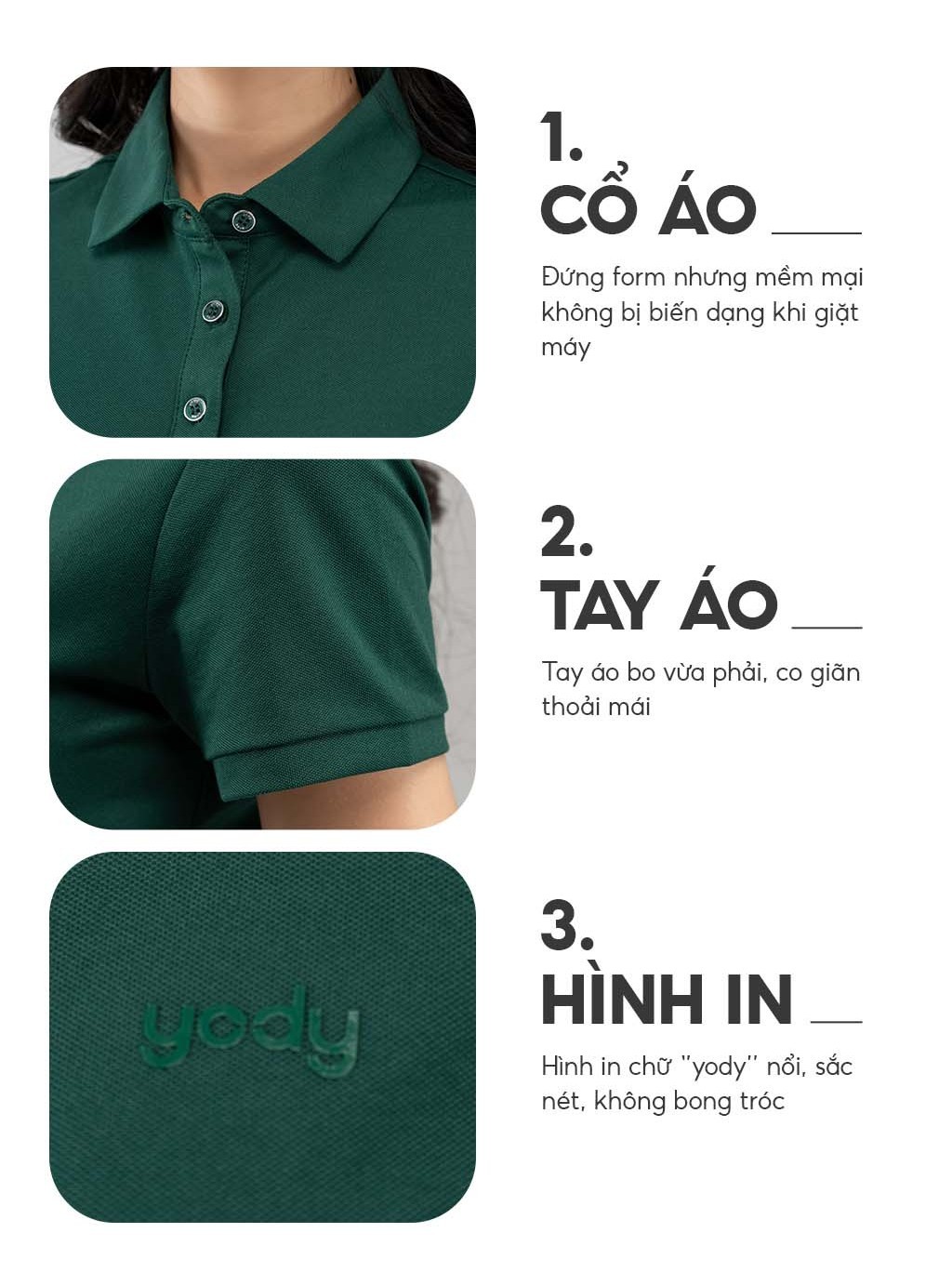 Mô tả Áo polo nữ YODY vải cotton mắt chim gia đình mềm mại chống nhăn nhàu bai gião APN7280 - 2