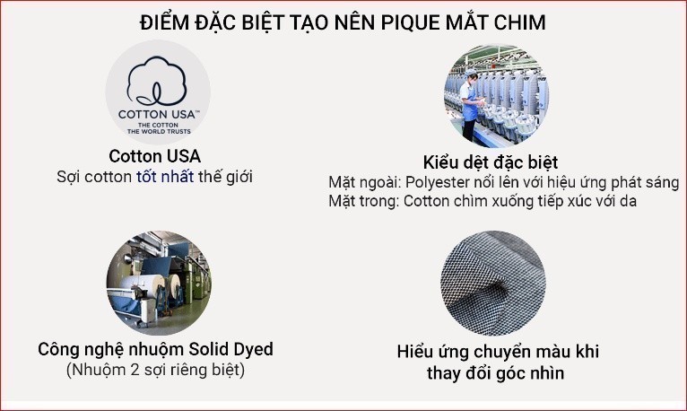 Mô tả Áo polo nữ YODY vải cotton mắt chim gia đình mềm mại chống nhăn nhàu bai gião APN7280 - 9