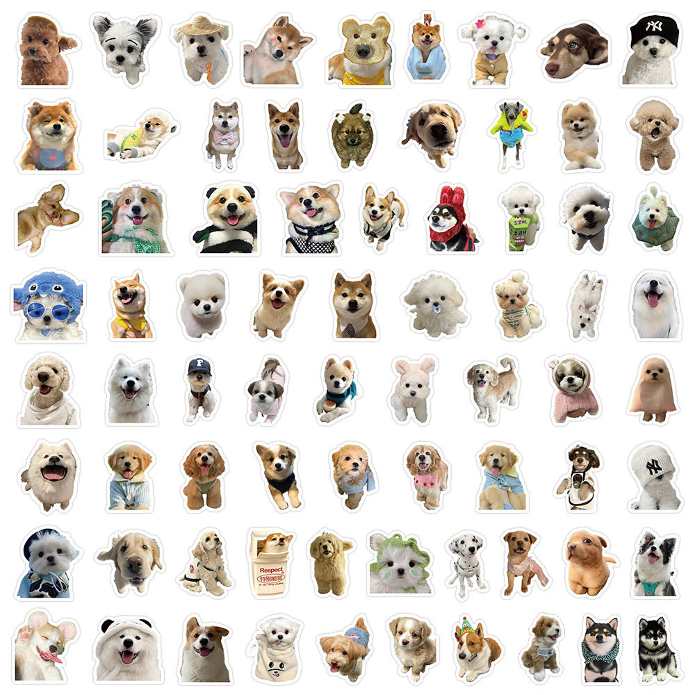 Set 200 / 100 / 50 Sticker mèo / sticker chó/ đội bóng/ nhóm nhạc ...