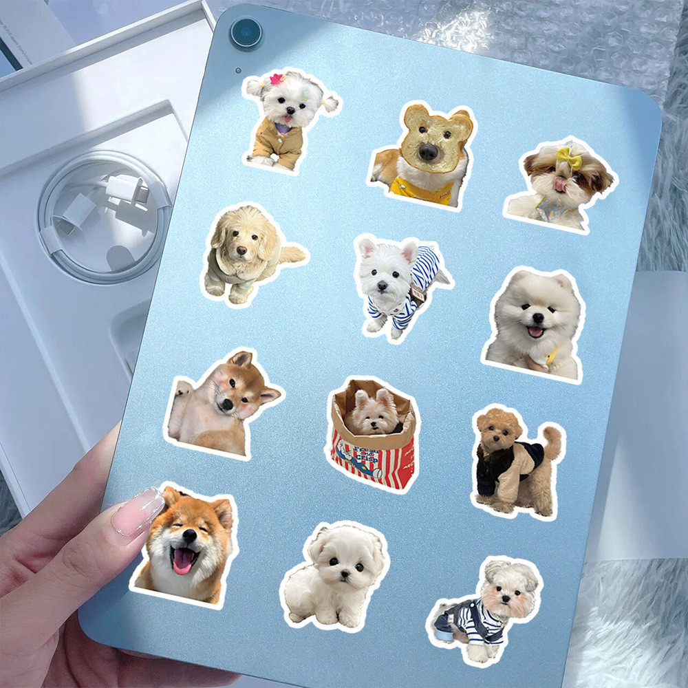 Set 200 / 100 / 50 Sticker mèo / sticker chó/ đội bóng/ nhóm nhạc ...
