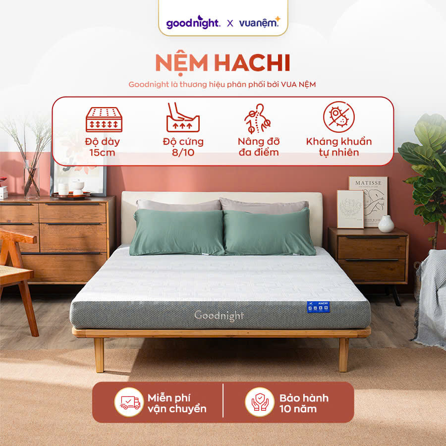 Nệm Foam Vua Nệm Goodnight Hachi 15cm
