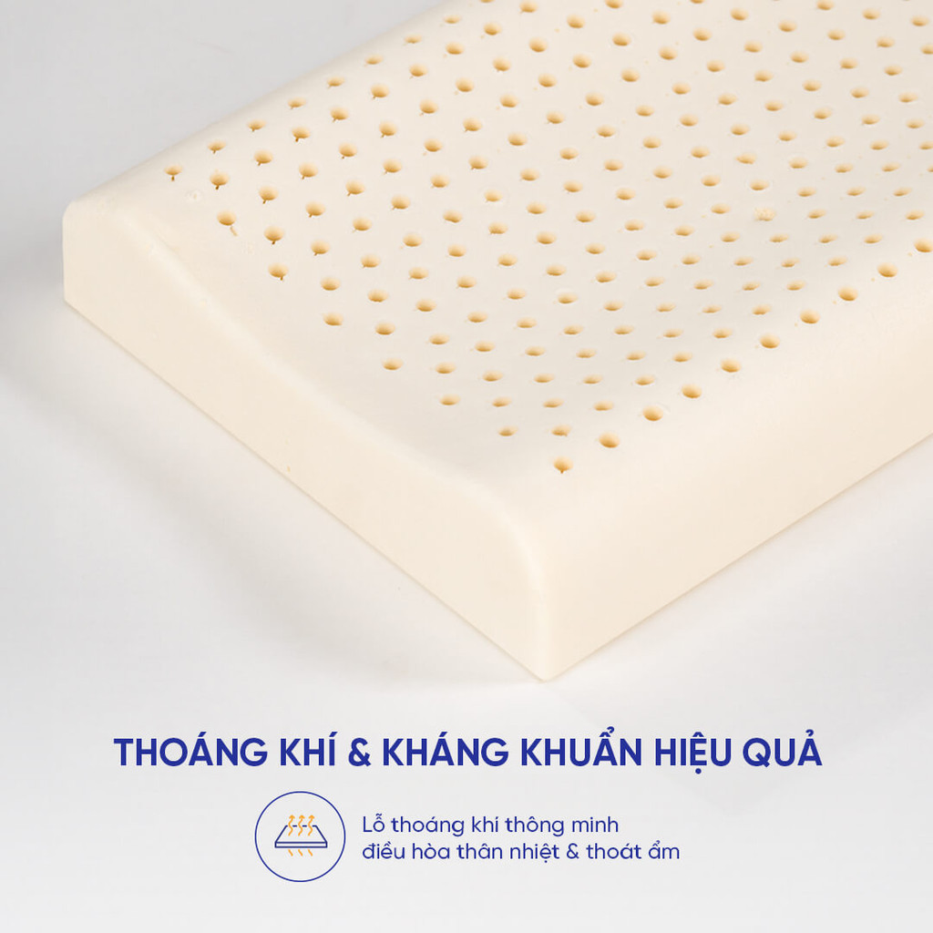 Mô tả Gối cao su thiên nhiên Gummi Pudding 26x43cm lượn sóng nâng đỡ chắc chắn, thoáng khí, dành cho người nằm thấp - 4